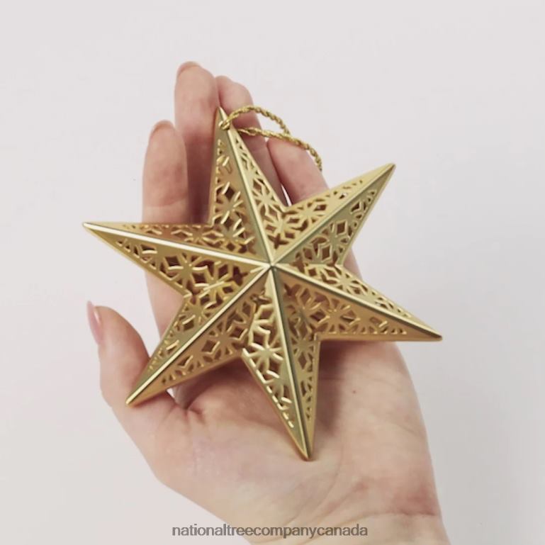 National Tree Company Scentsicles Decorative Ornament Metal Gold Star White Winter Fir with Refill 68R08545