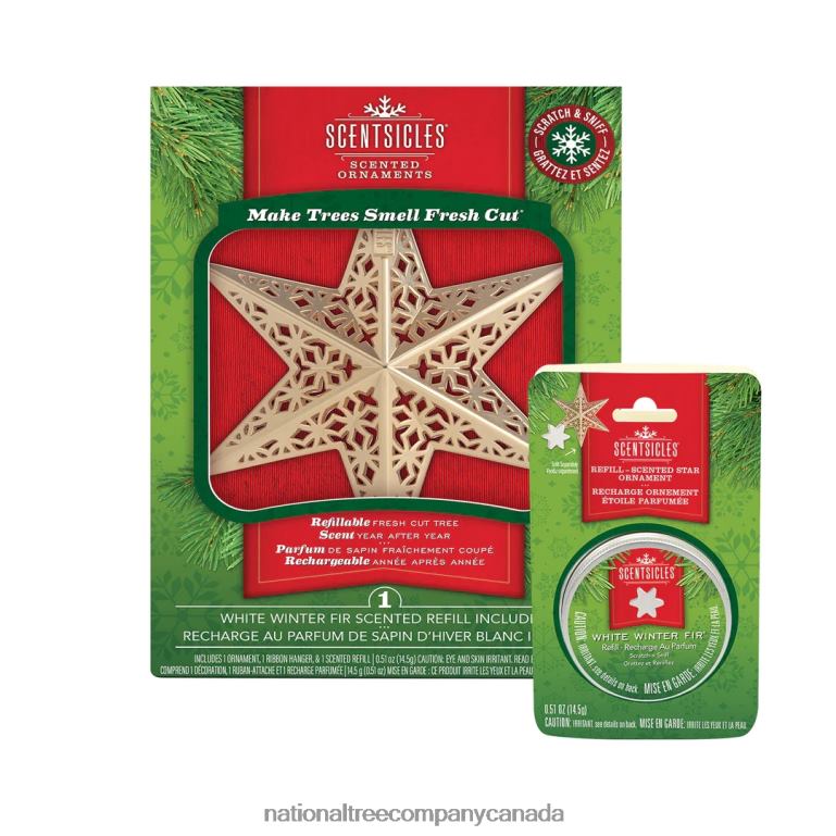 National Tree Company Scentsicles Decorative Ornament Metal Gold Star White Winter Fir with Refill 68R08545