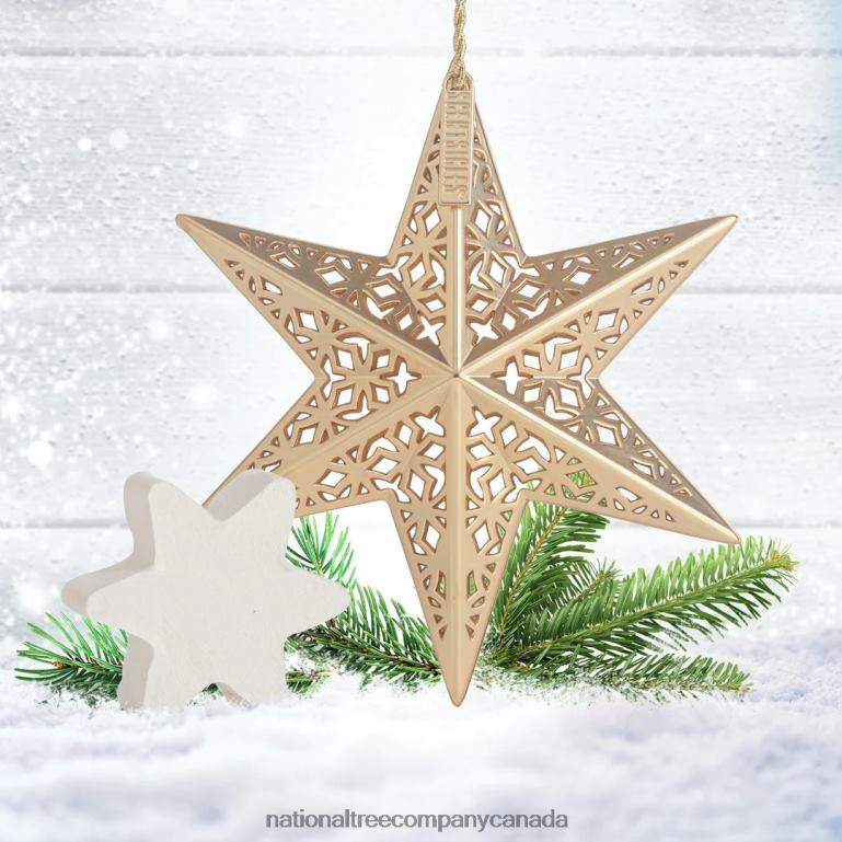 National Tree Company Scentsicles Decorative Ornament Metal Gold Star White Winter Fir with Refill 68R08545