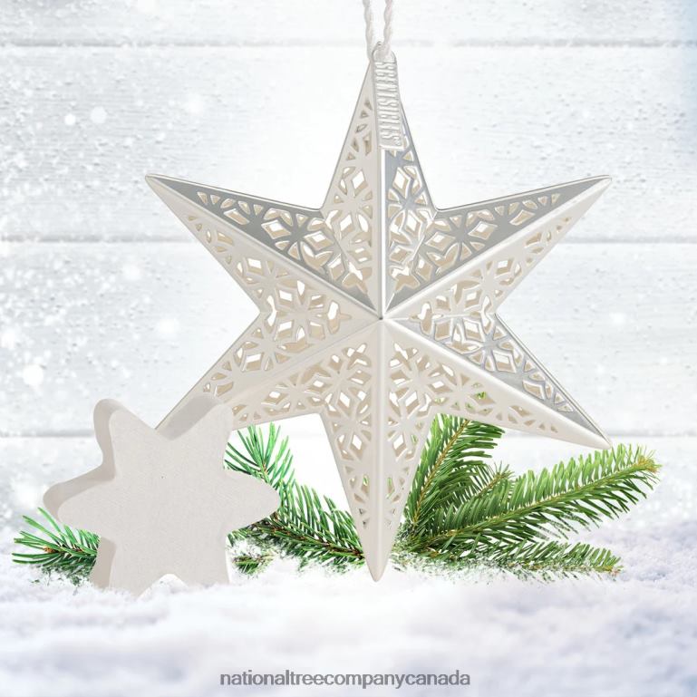 National Tree Company Scentsicles Decorative Ornament Metal White Star White Winter Fir with Refill 68R08548