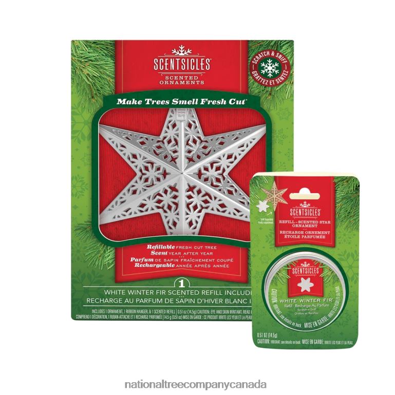 National Tree Company Scentsicles Decorative Ornament Metal White Star White Winter Fir with Refill 68R08548