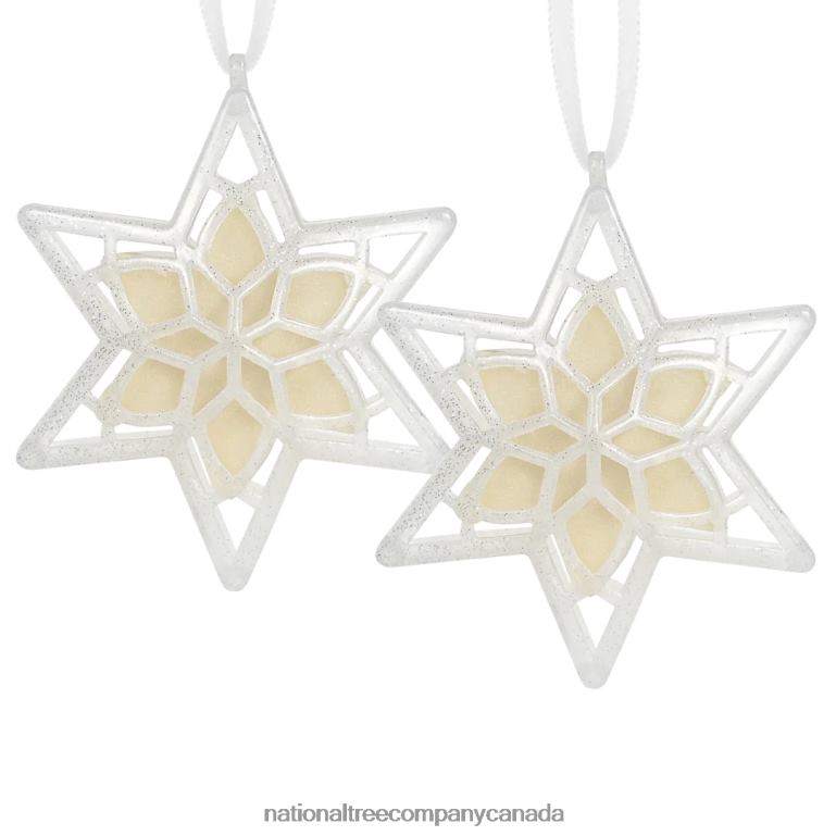 National Tree Company Scentsicles Scented Star Ornament White Winter Fir 2-Pack 68R08543