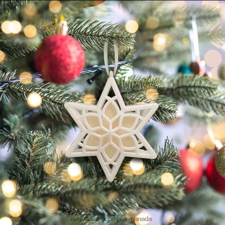 National Tree Company Scentsicles Scented Star Ornament White Winter Fir 2-Pack 68R08543