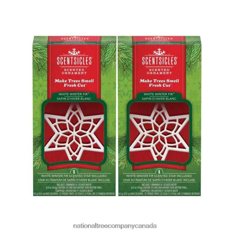 National Tree Company Scentsicles Scented Star Ornament White Winter Fir 2-Pack 68R08543