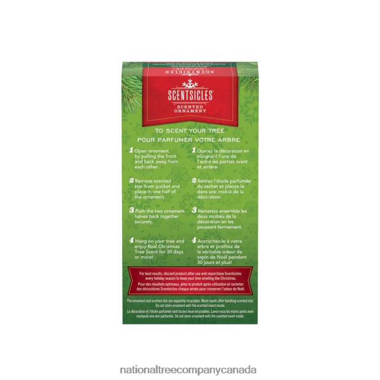 National Tree Company Scentsicles Scented Star Ornament White Winter Fir 2-Pack 68R08543