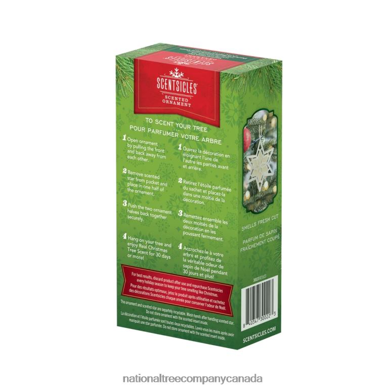 National Tree Company Scentsicles Scented Star Ornament White Winter Fir 2-Pack 68R08543
