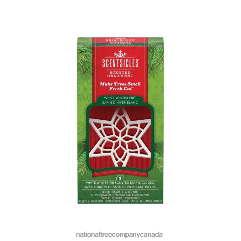 National Tree Company Scentsicles Scented Star Ornament White Winter Fir 2-Pack 68R08543