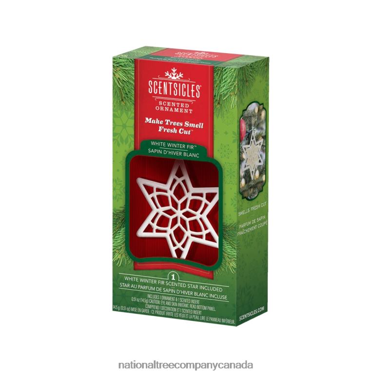 National Tree Company Scentsicles Scented Star Ornament White Winter Fir 2-Pack 68R08543