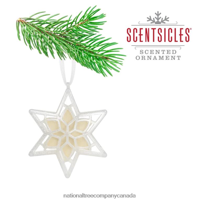 National Tree Company Scentsicles Scented Star Ornament White Winter Fir 2-Pack 68R08543