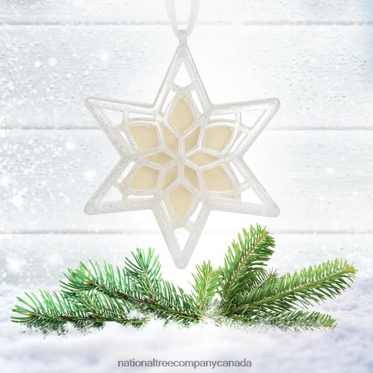 National Tree Company Scentsicles Scented Star Ornament White Winter Fir 2-Pack 68R08543