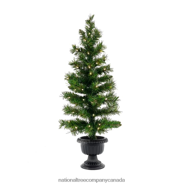 National Tree Company Warm Welcome Bundle Pre-Lit Assortment 68R08516