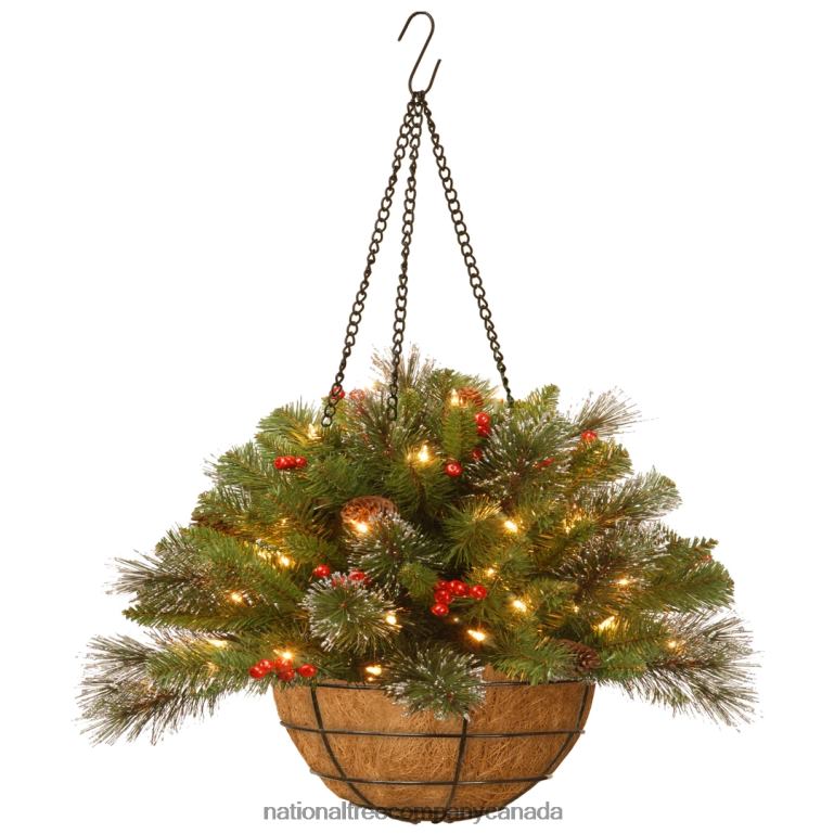 National Tree Company Pre-Lit Artificial Christmas Hanging Basket, Crestwood Spruce, Decorated With Frosted Pine Cones, Berry Clusters, White Lights, Christmas Collection, 16 Inches 68R08463