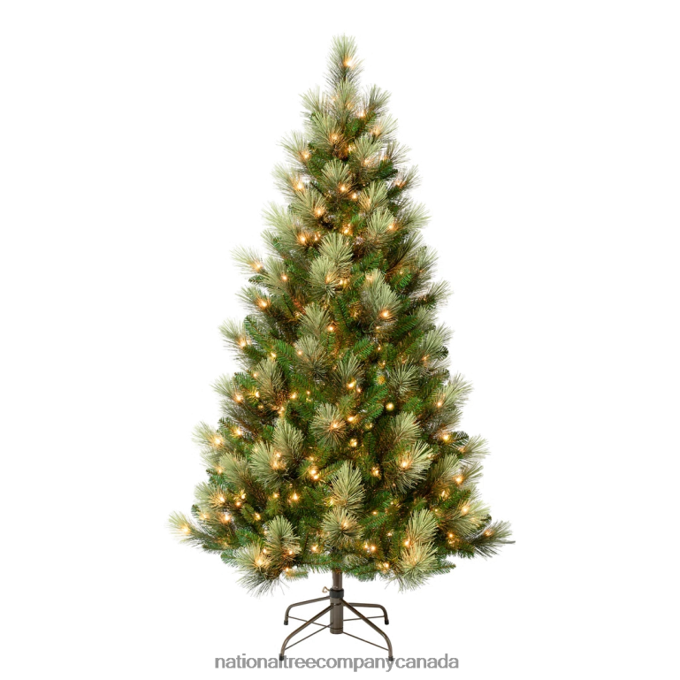 National Tree Company First Traditions Pre-Lit Charleston Pine Snowy Slim Christmas Tree, Clear Incandescent Lights, Plug In, 6 ft 68R08154