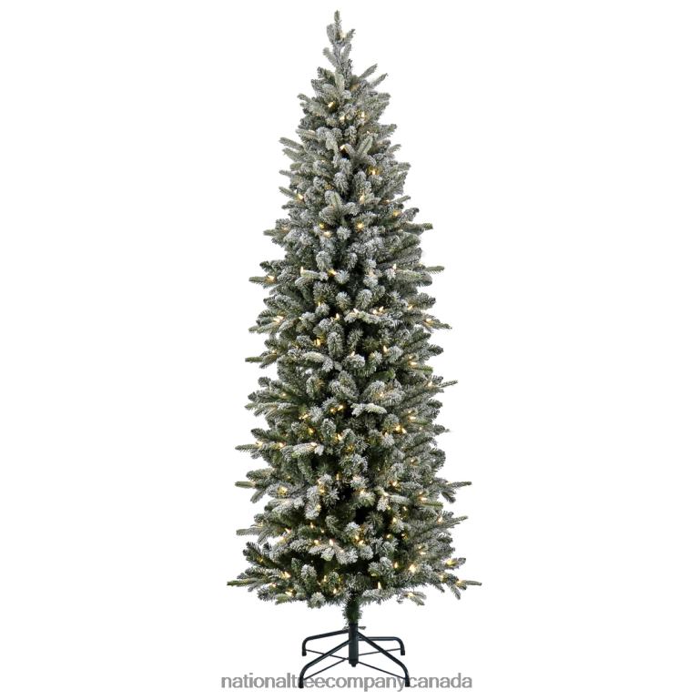 National Tree Company 7 ft. Pre-Lit Conger Pine Pencil Slim Tree with LED Lights 68R0884