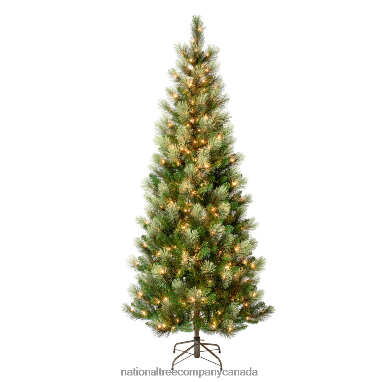 National Tree Company First Traditions Pre-Lit Charleston Pine Snowy Slim Christmas Tree, Clear Incandescent Lights, Plug In, 7.5 ft 68R08113