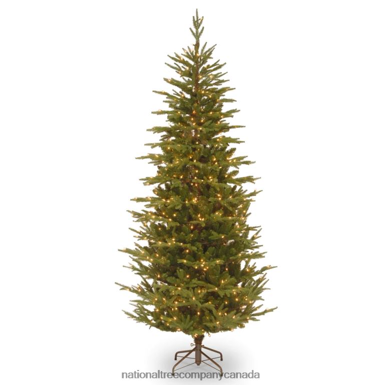 National Tree Company Pre-Lit 'Feel Real' Artificial Slim Christmas Tree, Green, Frasier Grande, White Lights, Includes Stand, 7.5 Feet 68R0815