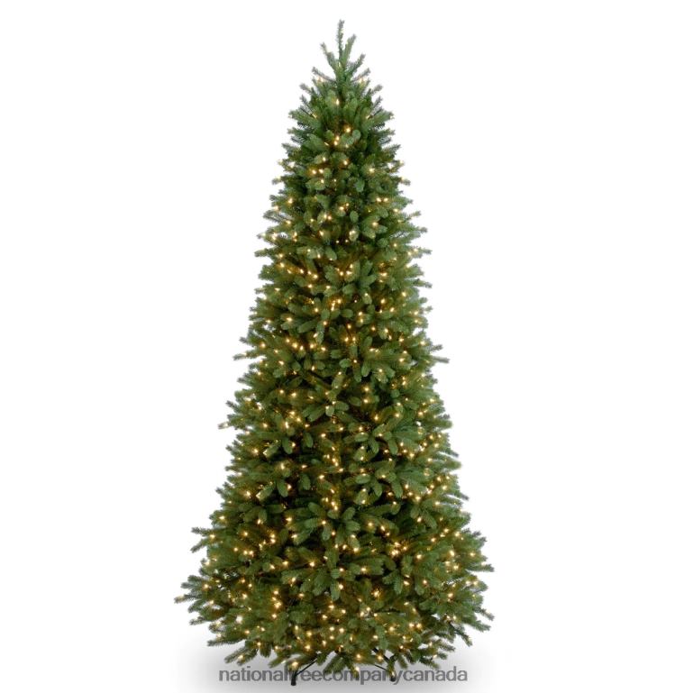 National Tree Company Pre-Lit Slim Artificial Christmas Tree, Green, Jersey Fraser Fir, 'Feel Real', White Lights, Includes Stand, 9 Feet 68R0885