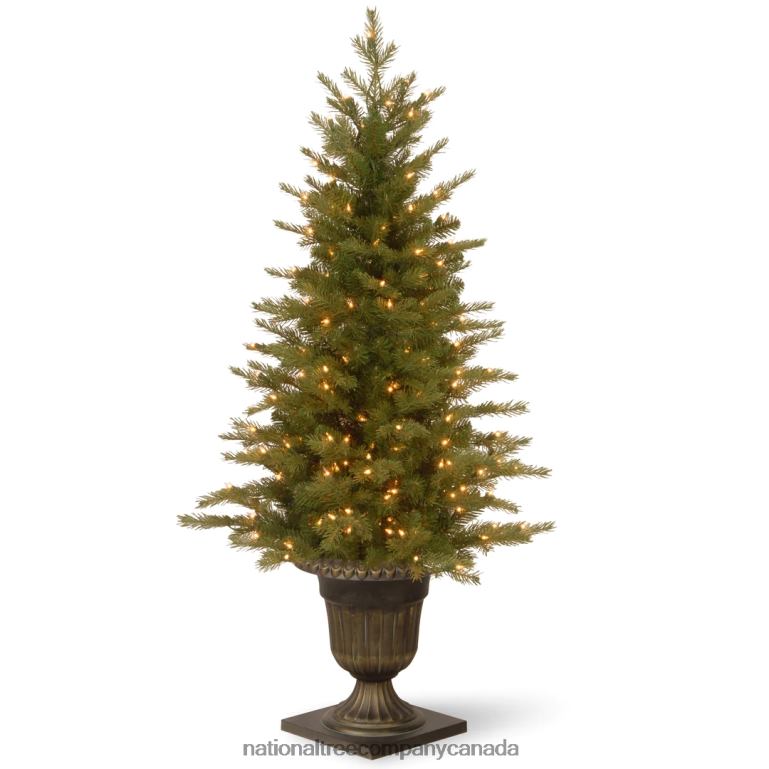 National Tree Company Pre-Lit 'Feel Real' Artificial Mini Entrance Christmas Tree, Green, Nordic Spruce, White Lights, Includes Decorative Urn Base, 4 Feet 68R0848